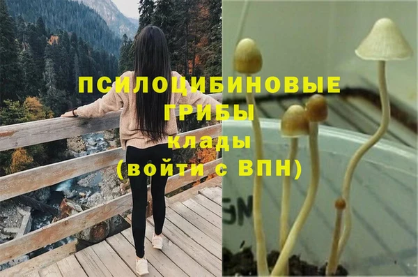 бошки Краснослободск