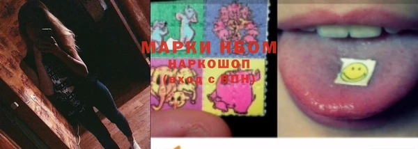 бошки Краснослободск