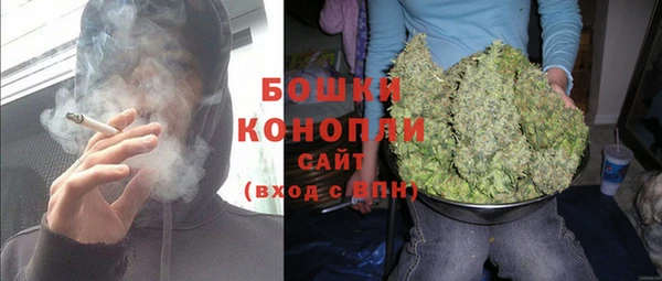 бошки Краснослободск